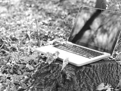 Bild vergrößern: Ein Notebook aufgeklappt auf einem Baumstumpf mit Laub.