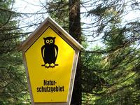 Bild vergrößern: Ein Naturschutzgebiet-Schild mitten im Wald an einem Baum.