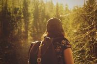 Bild vergrößern: Romantisch! Eine Wanderin mit Rucksack im Gegenlicht der Sonne. Vor ihr ein dichter Nadelwald.
