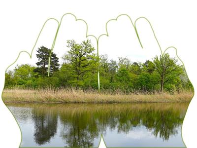 Bild vergrößern: 2 stilisierte Hände mit Blick auf einen Grünstreifen am Gewässerrand.