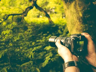 Bild vergrößern: Bildschnitt zeigt Hand mit Kamera und Objektiv vor einem Baumstamm.