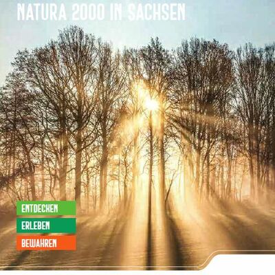 Abbildung des Pocketplaner Natura 2000 vom Staatsministerium für Energie, Klimaschutz, Umwelt und Landwirtschaft.